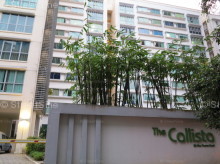 The Callista (D12), Apartment #11672